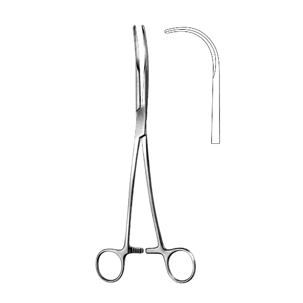 BRONCHUS SEMB FORCEPS  24.0cm     (STRONG CVD)