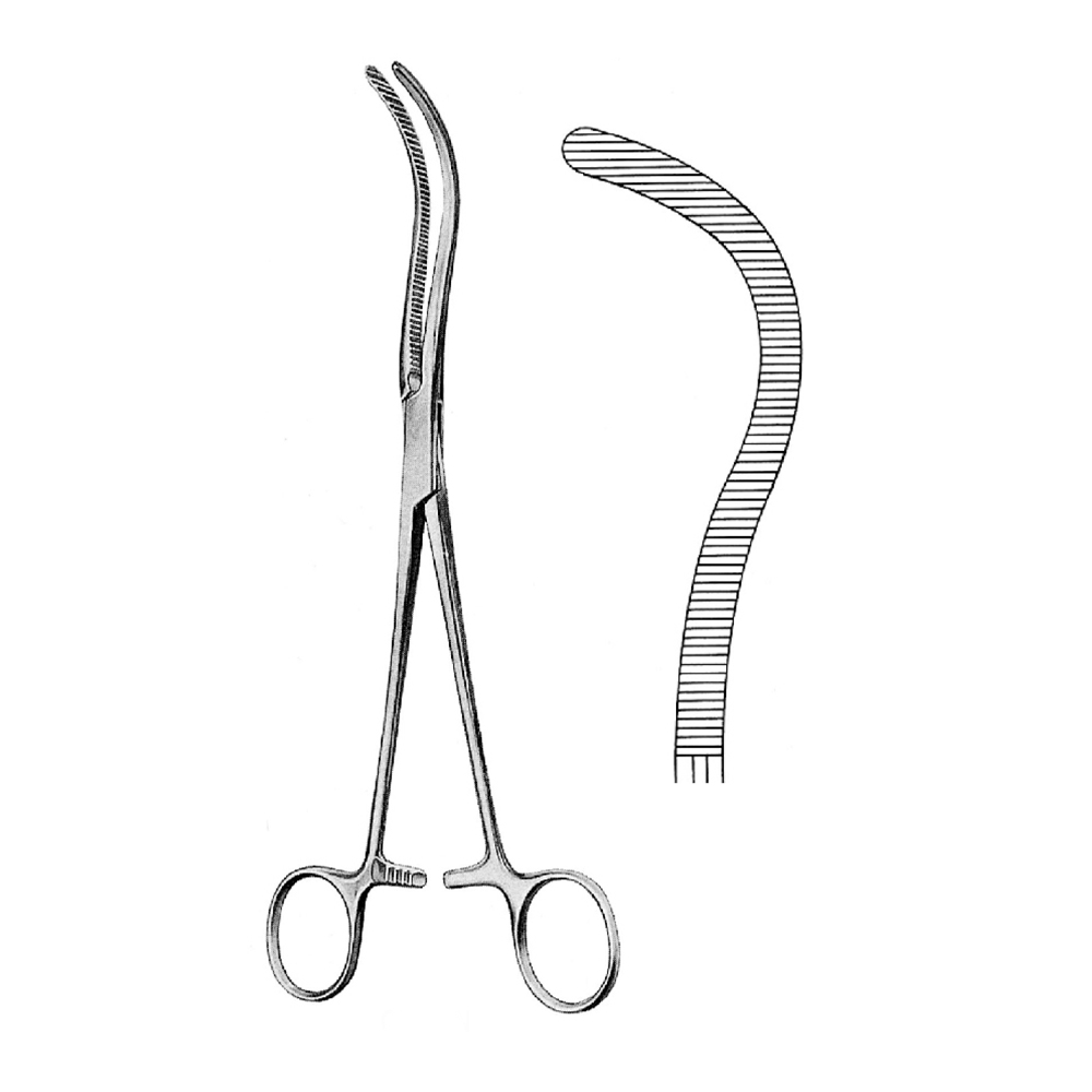 ARTERY FORCEPS GUYON 22.0cm