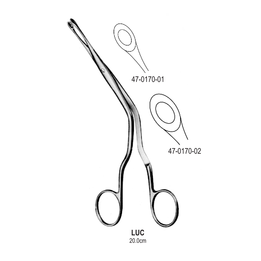 RHINOLOGY