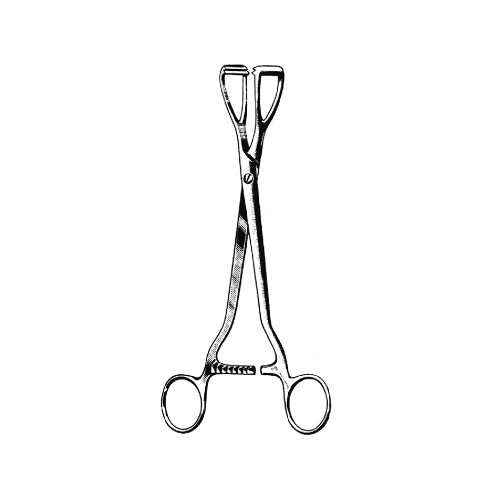 UROLOGY PENIS CLAMP AND LITHOTOMY YOUNG FORCEPS  20.0cm