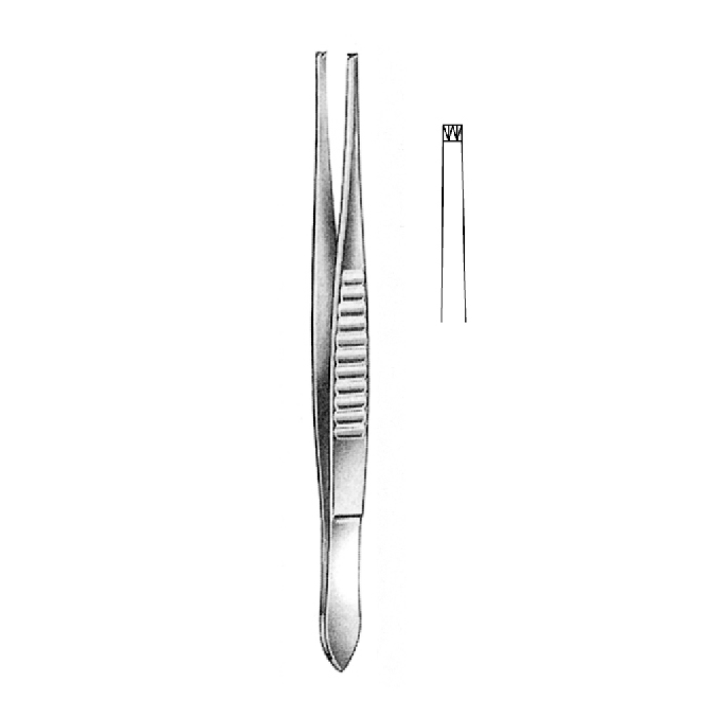 TISSUE FORCEPS USA MODEL   13.0cm  TEETH 2X3