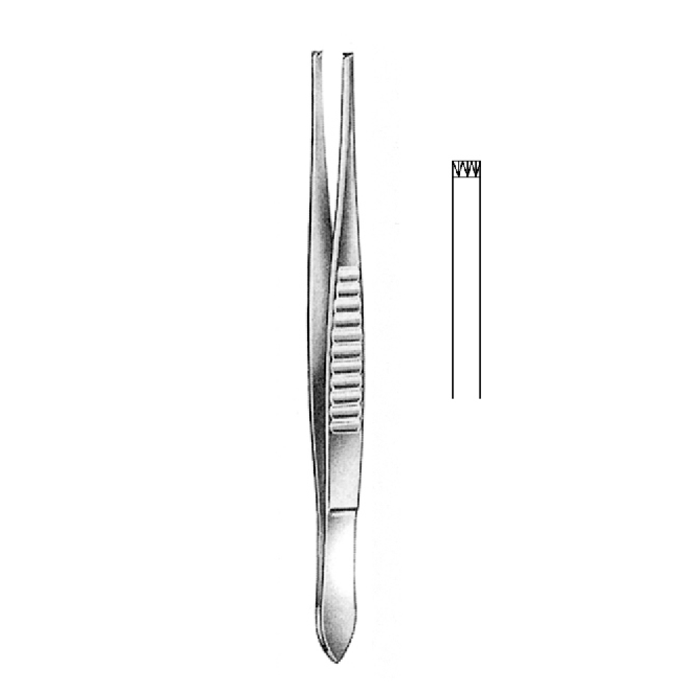 TISSUE FORCEPS USA MODEL   13.0cm  TEETH 3X4