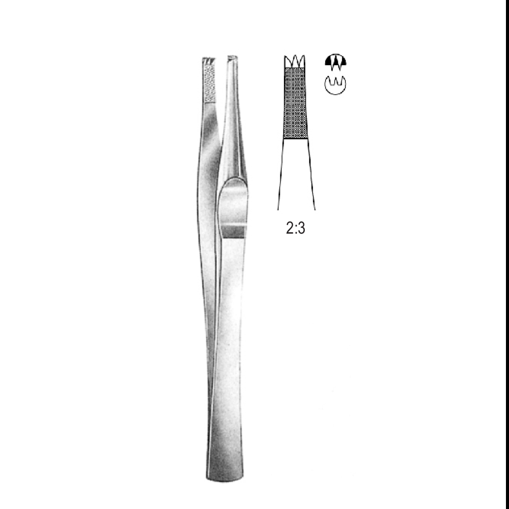 TISSUE FORCEPS  LANES   15.5cm  TEETH 2X3