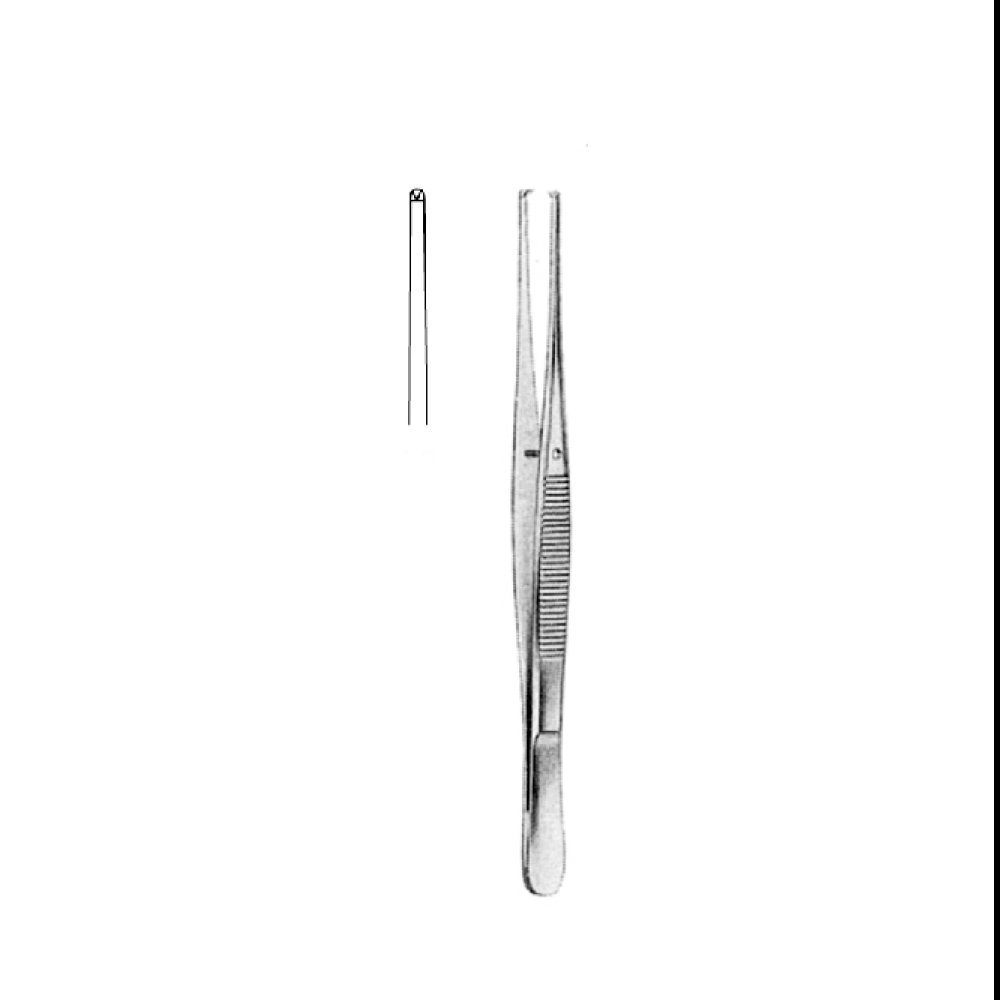 TISSUE FORCEPS  SEMKEN STR   15.0cm   TEETH 1X2