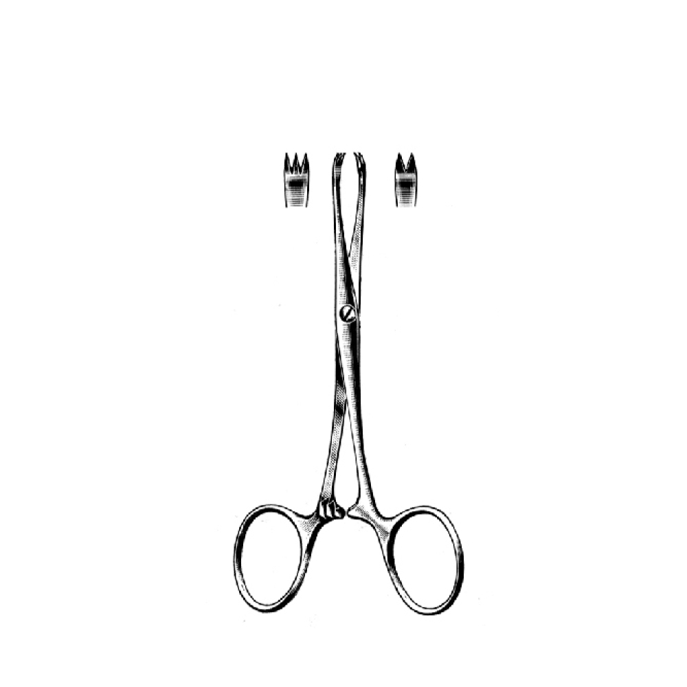 TISSUEAND ORGAN HOLDING FORCEPS CHAPUT  13.0cm