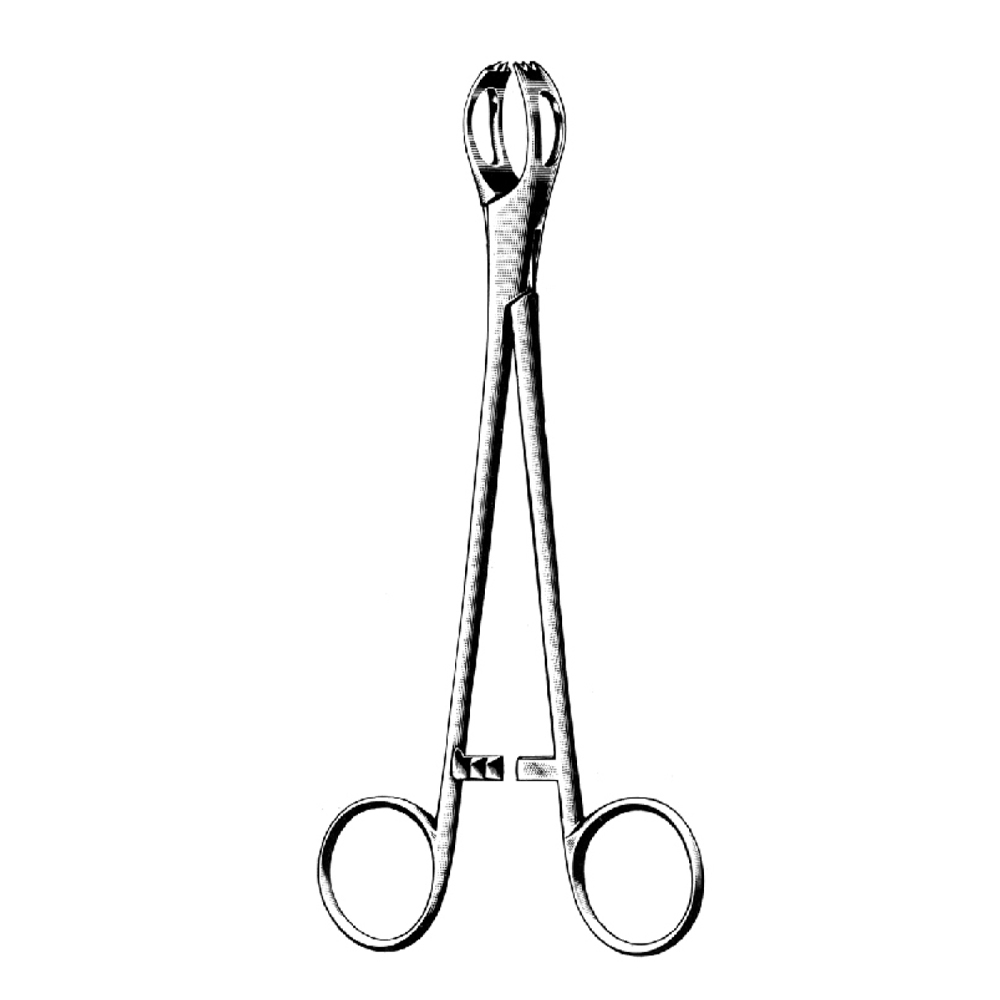 TISSUEAND ORGAN HOLDING FORCEPS LANE  12.5cm