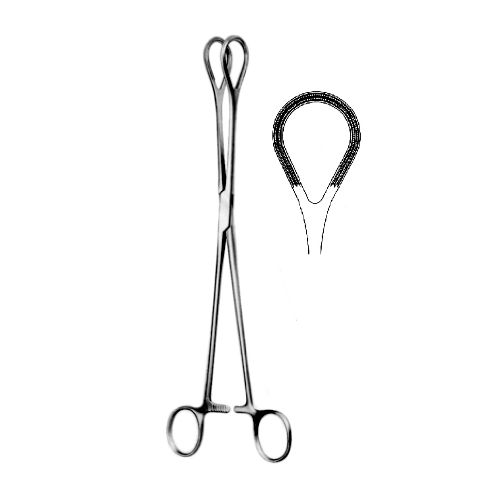 TISSUEAND ORGAN HOLDING FORCEPS ATRAUMA  25.0cm