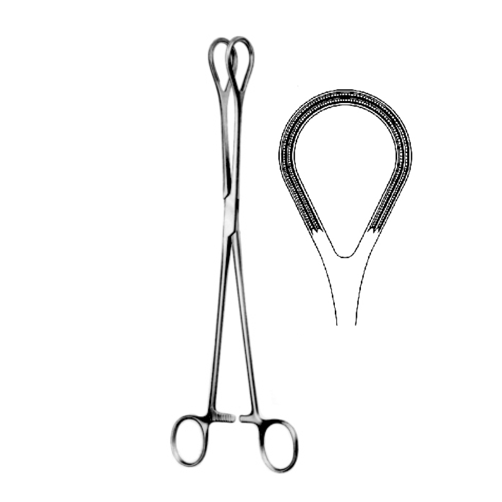 TISSUEAND ORGAN HOLDING FORCEPS ATRAUMA  26.0cm