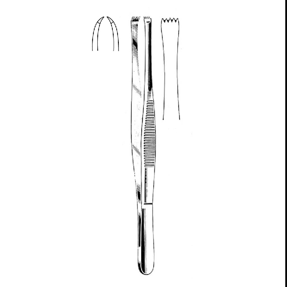 TISSUE FORCEPS STONE     15.0cm  TEETH 4X5