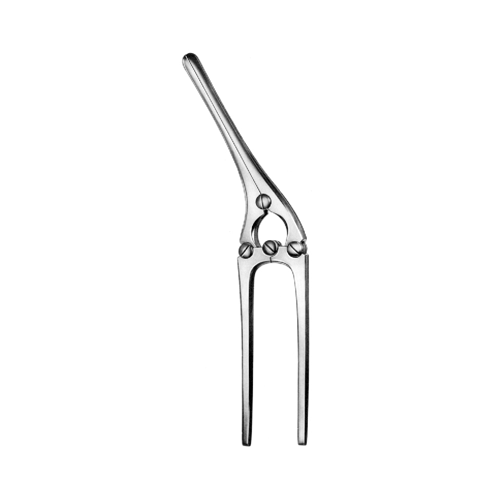 INTESTINAL & STOMACH PAYR CLAMPS 21.0cm  