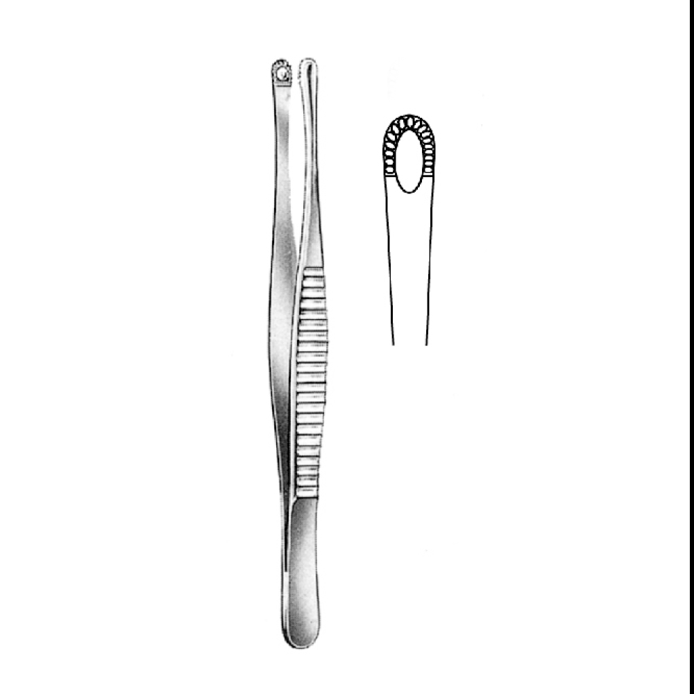 TISSUE FORCEPS MAYO RUSSION  23.0cm