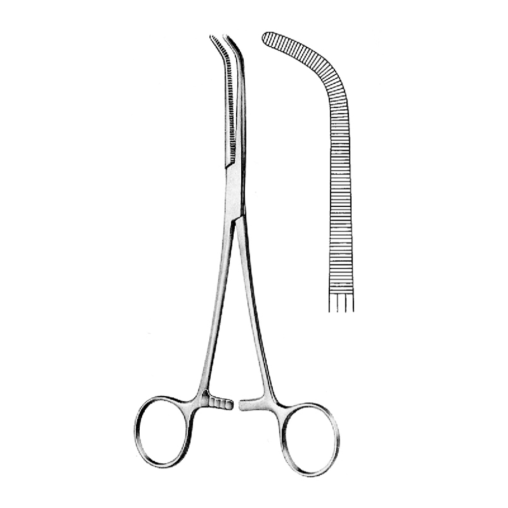 ARTERY FORCEPS MIXTER  22.0cm